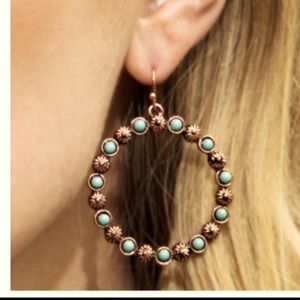 Icon Collection Round Drop Ear Rings